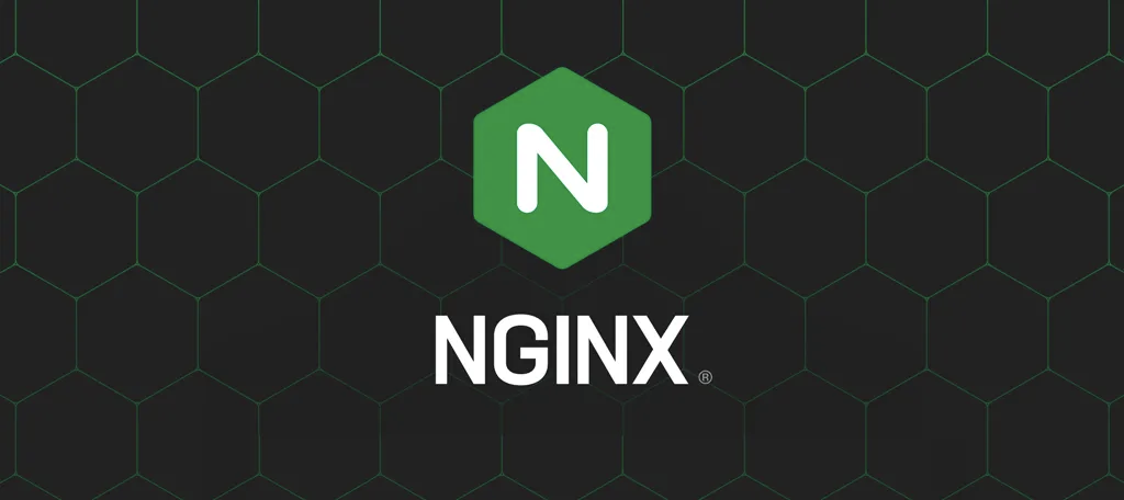 《Nginx动静分离配置：优化网站性能的关键技巧》 页面截图
