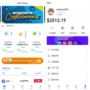 多语言虚拟币竞猜/区块链大小投注/预设开奖 页面截图