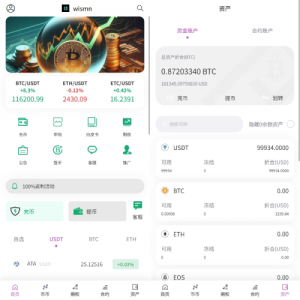 海外多语言交易所/合约/期权/秒合约/插针控制/申购 页面截图