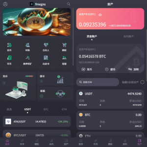 海外交易所系统/合约/期权/质押/秒合约/插针控制/申购 页面截图
