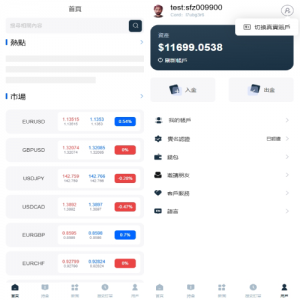 海外FX6系统/多语言外汇虚拟币合约交易/K线控制 页面截图