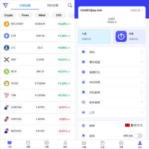 海外FX7综合外汇交易所系统/合约挂单交易/秒合约交易/K线 页面截图