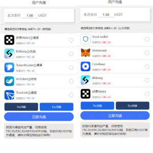 二开版发卡授权盗U系统/trc/erc双链授权秒U/欧意IM无提示 页面截图