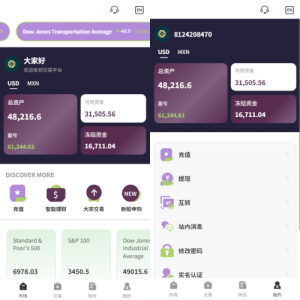 多语言海外股票系统/大宗交易/新股认购/产品理财 页面截图
