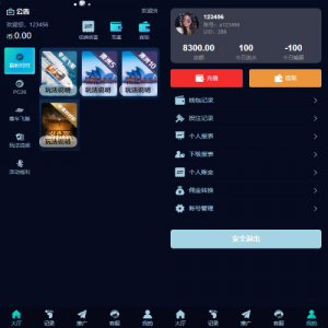 多语言彩票系统/时时彩/幸运飞艇/极速赛车/加拿大28 页面截图