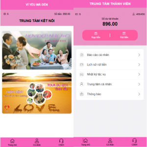 越南为爱投注系统/loveconnect投资/投注竞猜彩票 页面截图