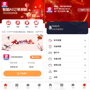 运营版抢单刷单系统/打针/做单/会员跟踪/信誉分 页面截图
