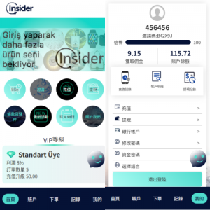 海外抢单刷单系统/信誉分/签到工资/多语言刷单 页面截图