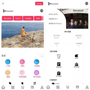 海外抢单刷单系统/打针卡单/彩金卡单领取/多语言刷单 页面截图