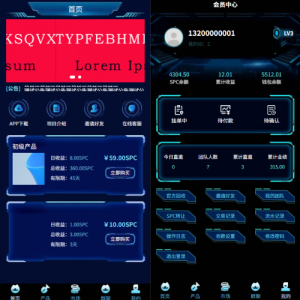 虚拟币矿机投资系统/系统币C2C交易/多级分销/群聊系统 页面截图