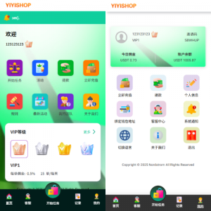 海外抢单刷单系统/多语言刷单/连单卡单 页面截图