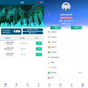 多语言微交易/贵金属外汇虚拟币微盘源码/越南时间盘 页面截图