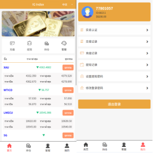 海外微交易系统/多语言微盘/外汇交易/时间盘 页面截图
