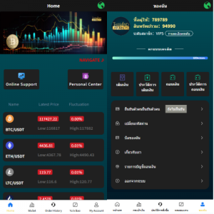 海外微盘系统/多语言虚拟币微交易/伪交易所/实名认证 页面截图