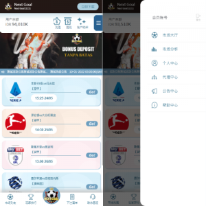 PC自适应反波胆系统/球盘源码/多级分销/充值返点 页面截图