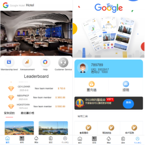 多语言酒店抢单刷单系统/海外Google酒店刷单/卡单连单 页面截图