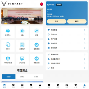 海外投资众筹系统/越南投资理财/前端VUE 页面截图