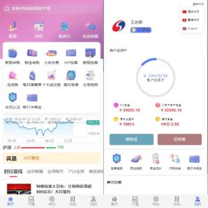 运营版JAVA股票系统/新股抢筹/大宗交易/VIP抢筹 页面截图