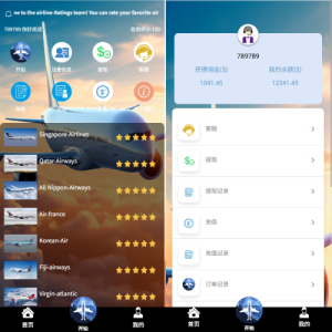 海外航空抢单刷单系统/打针/提现限制/多语言刷单 页面截图
