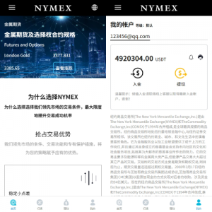 海外微交易系统/虚拟币外汇交易/PC微盘/多语言微盘 页面截图