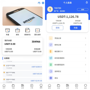 多语言亚马逊抢单刷单系统/叠加组刷单/海外抢单 页面截图