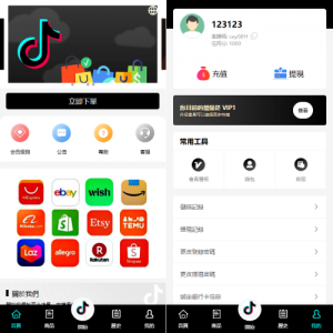 多语言tiktok抢单刷单系统/海外抢单系统/连单卡单 页面截图