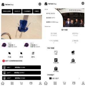 多语言TIKTOK抢单刷单系统/连单卡单/打针/前端uniapp 页面截图