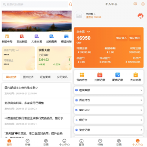 A股股票交易系统/新股申购/证券交易/前端VUE 页面截图