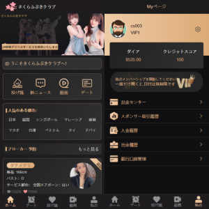 海外同城约炮空降任务/日本空降系统/前端vue 页面截图