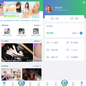 多语言同城空降任务/越南空降系统/系统彩/前端vue 页面截图