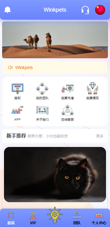 海外宠物投资理财系统/多语言投资源码/前端VUE 页面截图 3 海外宠物投资理财系统/多语言投资源码/前端VUE 页面截图