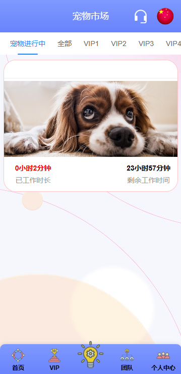 海外宠物投资理财系统/多语言投资源码/前端VUE 页面截图 7 海外宠物投资理财系统/多语言投资源码/前端VUE 页面截图