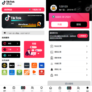 多语言tiktok抢单/海外tiktok刷单/分组/打针/前端vue 页面截图