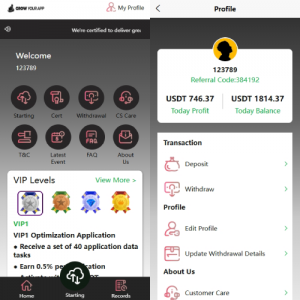 海外抢单刷单系统/模式分组派单/前端uniapp 页面截图