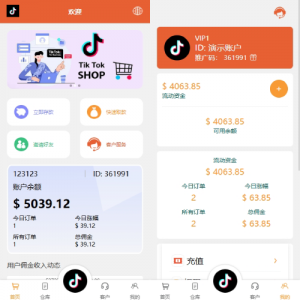 海外tiktok抢单刷单系统/前端uniapp/多语言刷单打针 页面截图