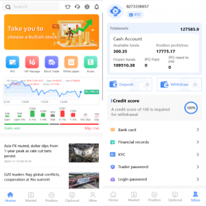 海外股票系统/多语言股票交易策略/IPO/大宗/印度股票 页面截图