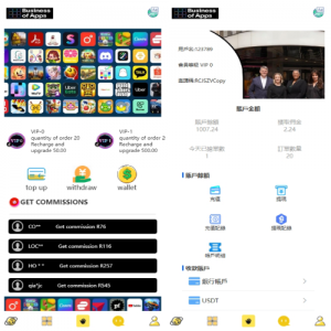 多语言抢单刷单系统/海外派单连单卡单/打针分组杀 页面截图
