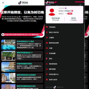 多语言TIKTOK酒店刷单/酒店抢单刷单系统/连单卡单 页面截图