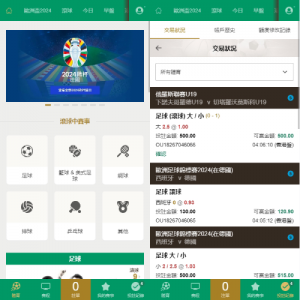 24款皇冠欧洲杯源码/多语言反波球盘信用盘源码/足球篮球体育盘 页面截图