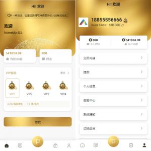 新版多语言抢单刷单系统/连单刷单/海外抢单刷单源码 页面截图