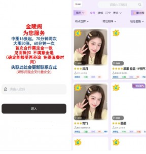 同城楼凤系统/约炮空降楼凤信息网源码 页面截图