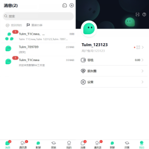 新版即时通讯系统/H5/电脑/APP/IM聊天交友系统 页面截图