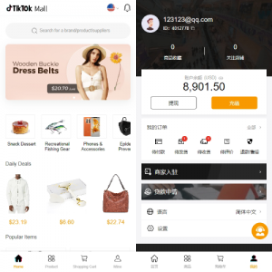 跨境电商商城系统/多语言java商城系统/TikToK商城/商家入驻一键铺货 页面截图