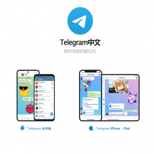假飞机系统/钱包地址自动生成/安卓苹果PC端/假飞机telegram源码 页面截图