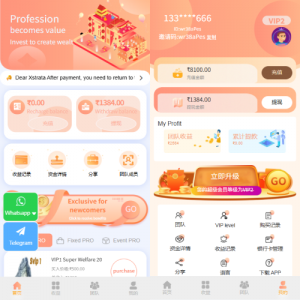 多语言投注理财系统/推广分销/营销裂变/前端VUE 页面截图