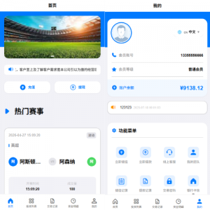 海外反波胆系统/电脑自适应/球盘源码/足球下注 页面截图