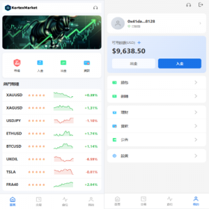 新UI海外综合盘交易所/股票/指数/K线控制/DAPP登录 页面截图