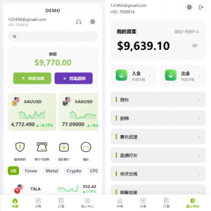 多语言PC/H5版st7交易所/美股/外汇/理财/贷款/K线控制 页面截图