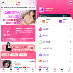 多语言空降刷单彩票系统/空降抢单/同城任务/系统彩 页面截图