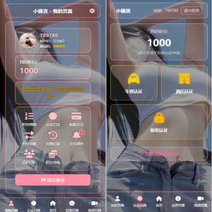 空降约炮系统/酒店路费认证/预约上门/多级分销 页面截图